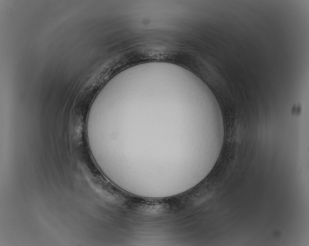 X0000111520646200907281340