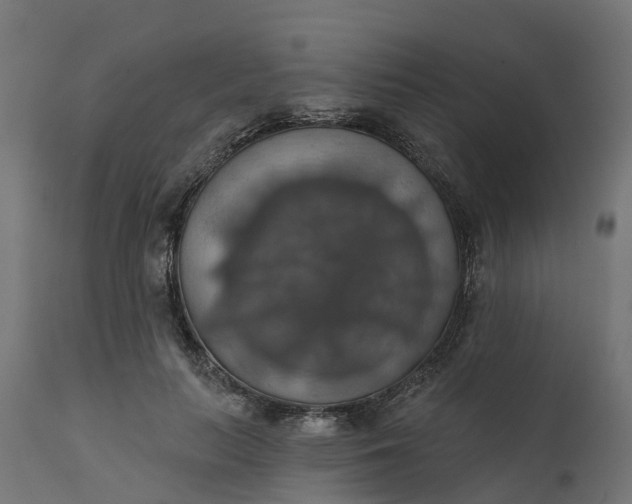 X0000111520647200907281340