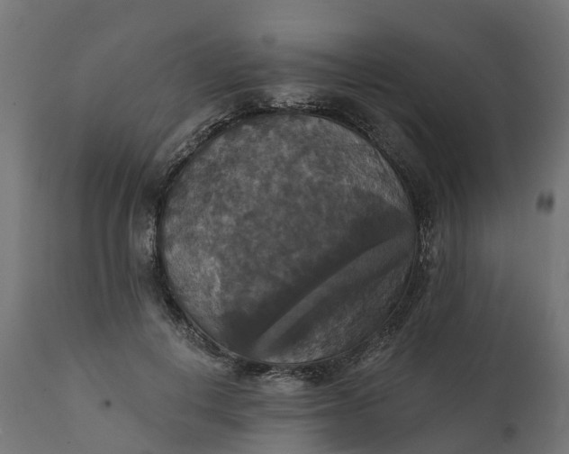X0000111520648200907281340