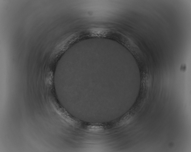 X0000111520649200907281340