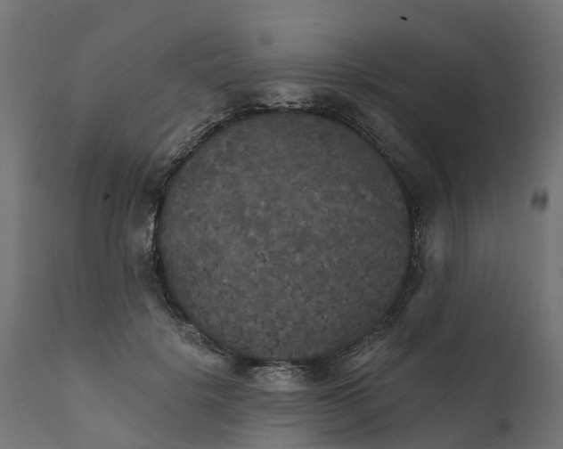 X0000111520652200907281340