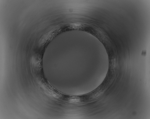 X0000111520653200907281340