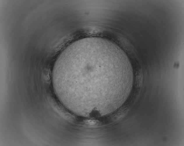 X0000111520654200907281340
