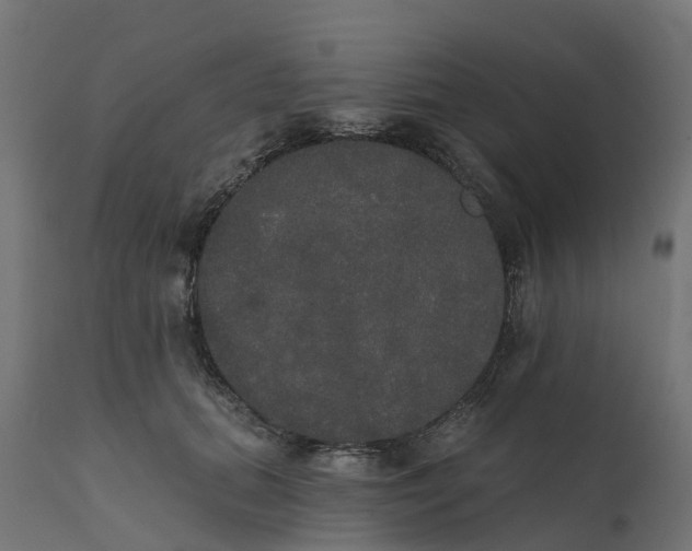 X0000111520655200907281340