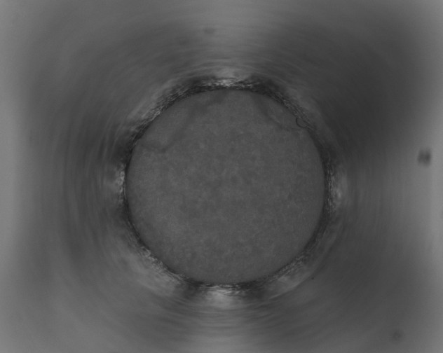 X0000111520657200907281340