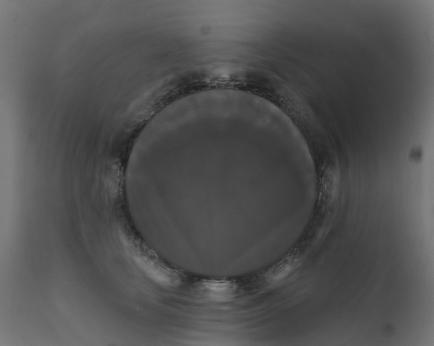 X0000111520659200907281340