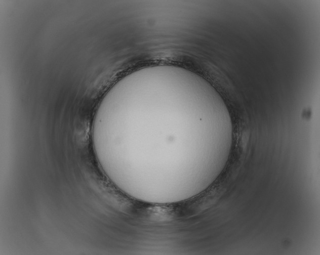 X0000111520660200907281340