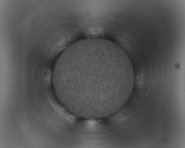X0000111520662200907281340