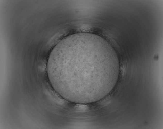 X0000111520665200907281340