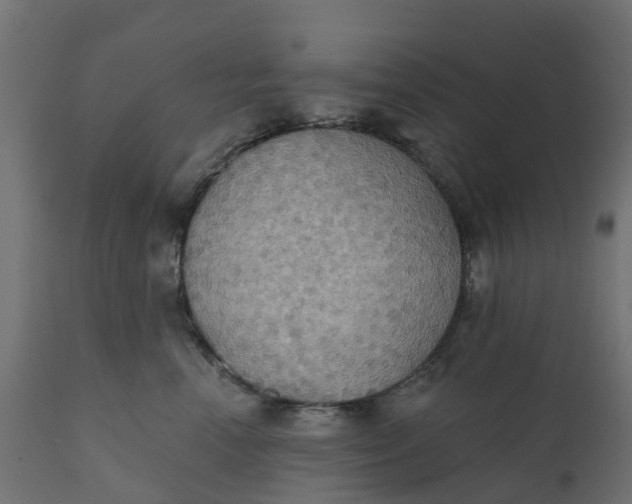 X0000111520666200907281340