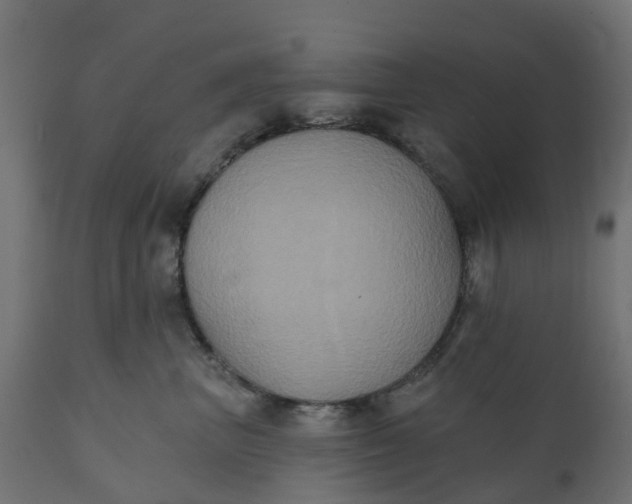 X0000111520667200907281340