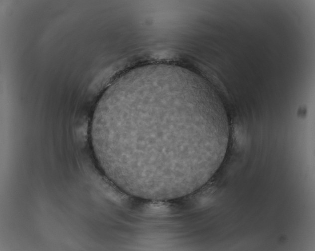 X0000111520668200907281340
