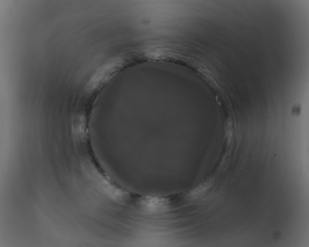 X0000111520670200907281340
