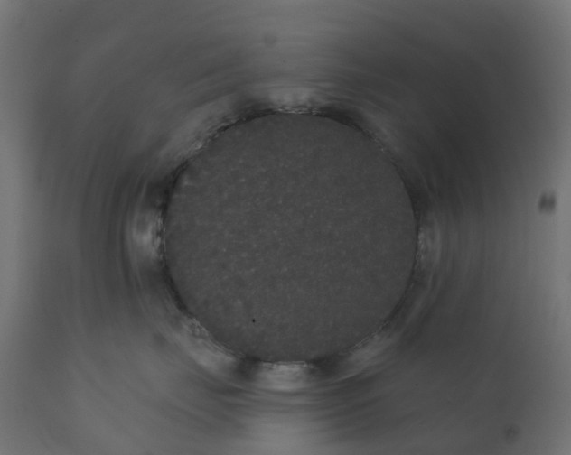 X0000111520671200907281340