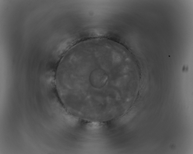 X0000111520672200907281340