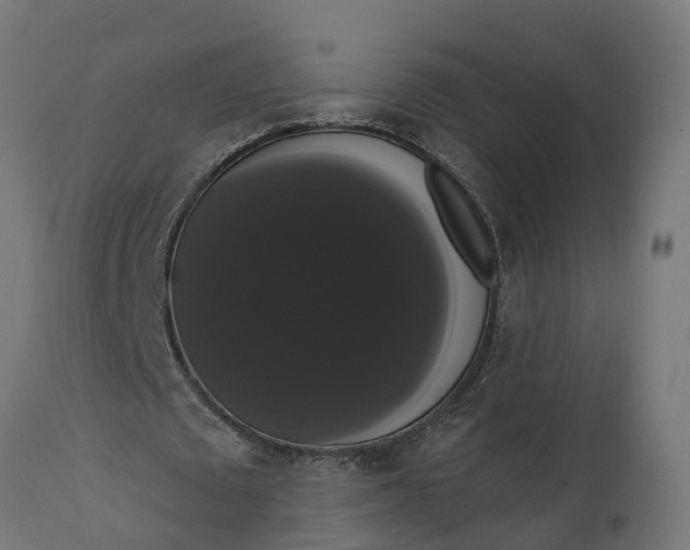 X0000111520673200907281339