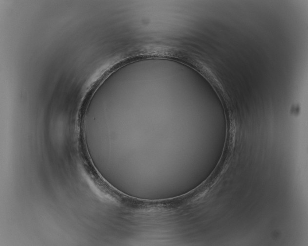 X0000111520674200907281339