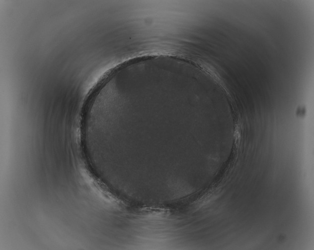 X0000111520676200907281339