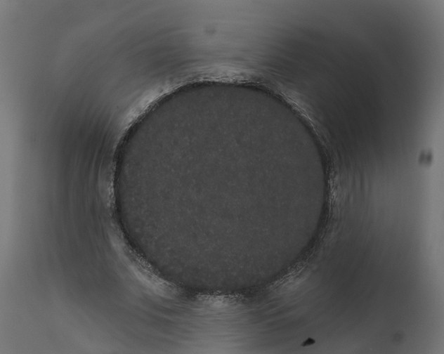 X0000111520679200907281339