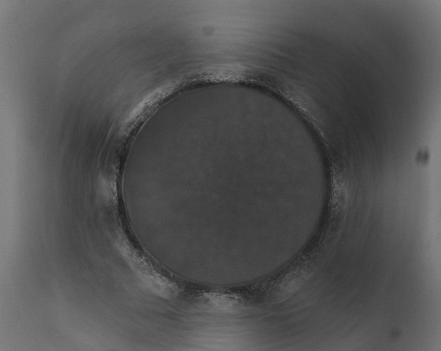 X0000111520681200907281339