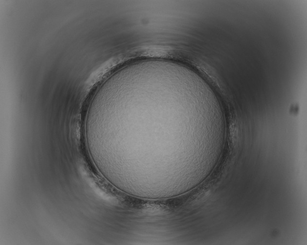 X0000111520682200907281339