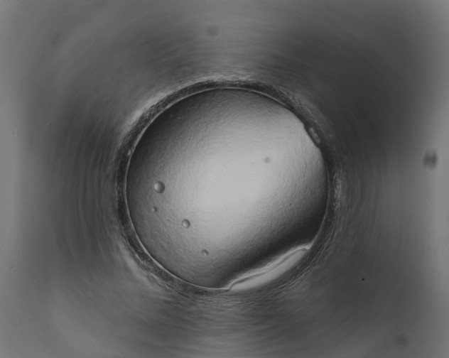 X0000111520684200907281339
