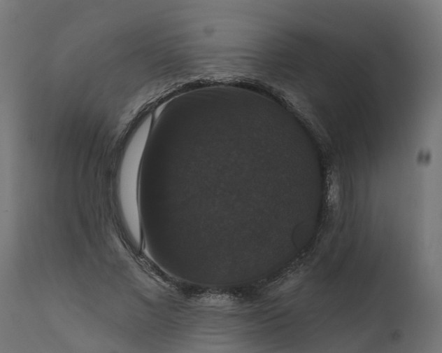 X0000111520685200907281339