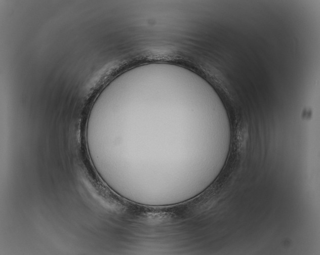 X0000111520686200907281339