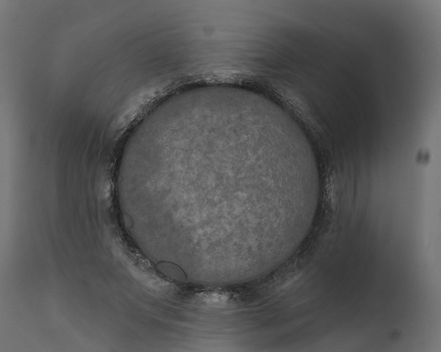 X0000111520687200907281339