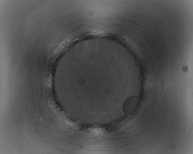 X0000111520689200907281339