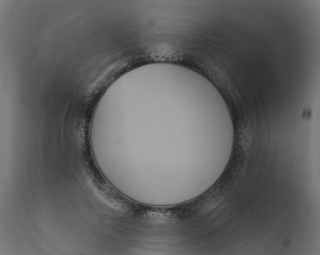 X0000111520690200907281339