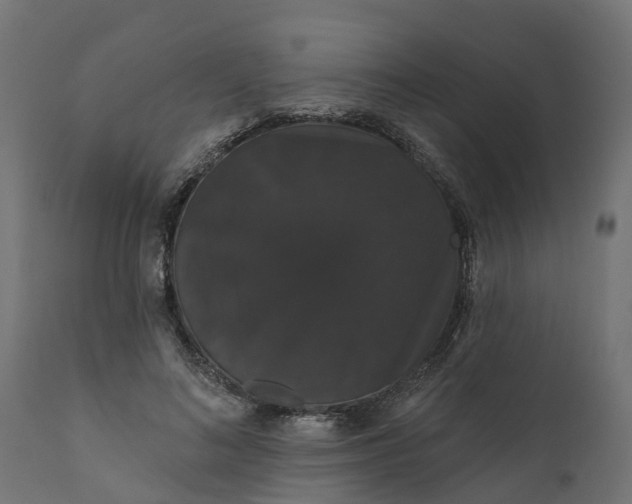 X0000111520692200907281339