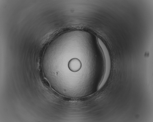 X0000111520693200907281339