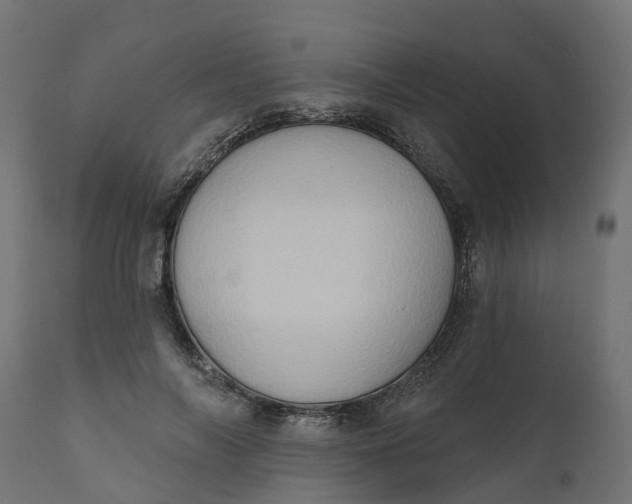 X0000111520694200907281339