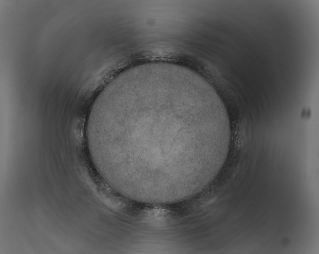 X0000111520695200907281339