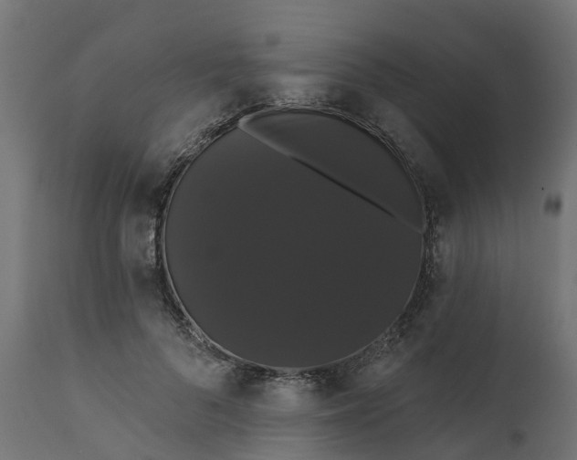 X0000111520696200907281339