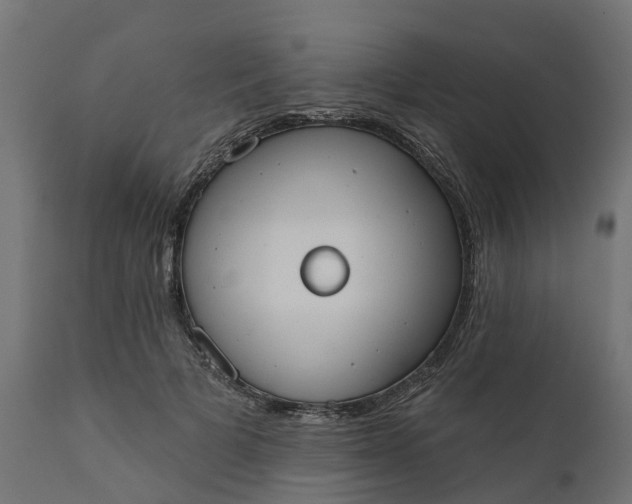 X0000111520697200907281339