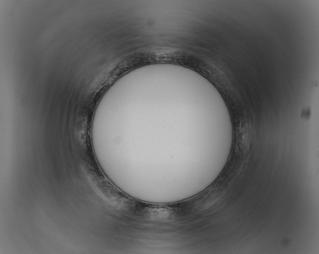 X0000111520698200907281339