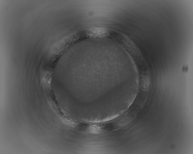 X0000111520701200907281339