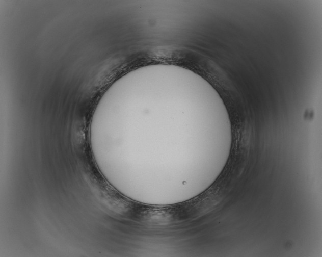 X0000111520702200907281339