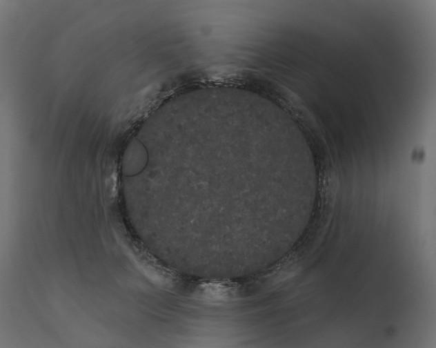X0000111520703200907281339
