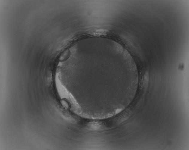 X0000111520704200907281339