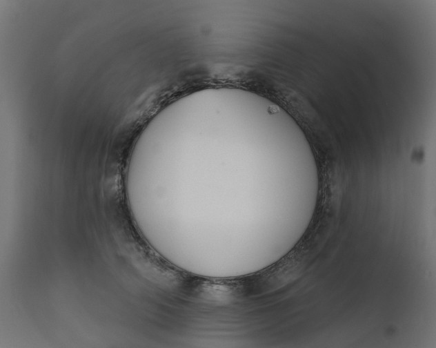 X0000111520706200907281339
