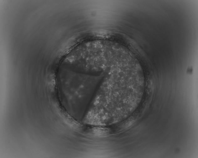 X0000111520707200907281339