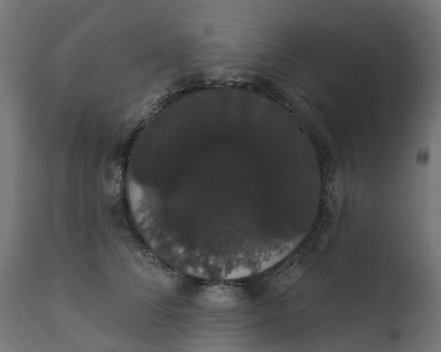 X0000111520708200907281339