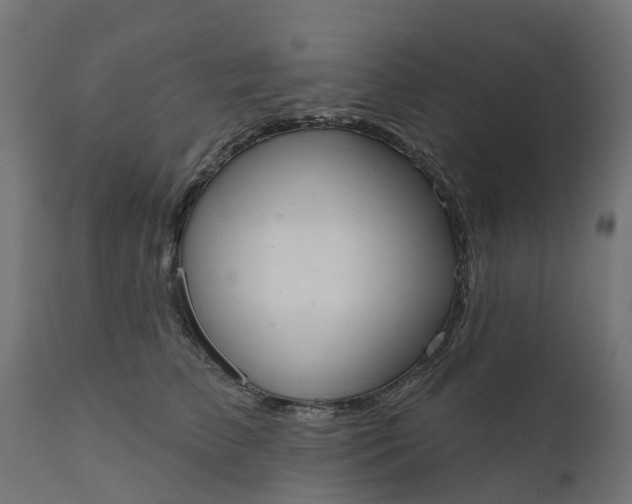 X0000111520709200907281339