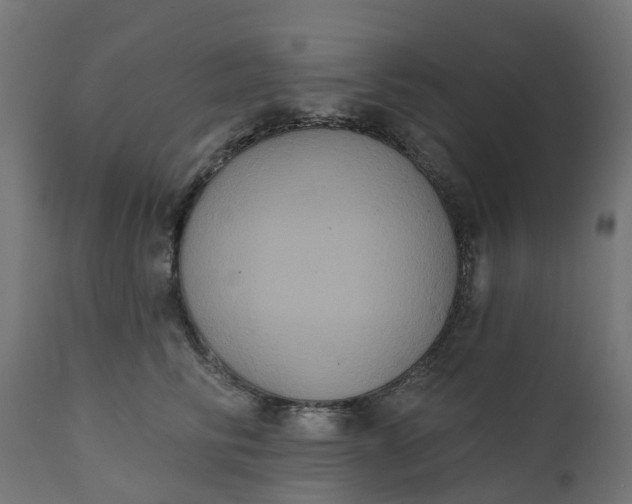 X0000111520710200907281339