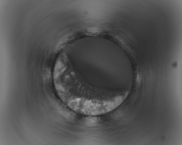 X0000111520711200907281339