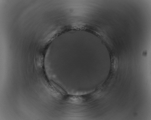 X0000111520712200907281339