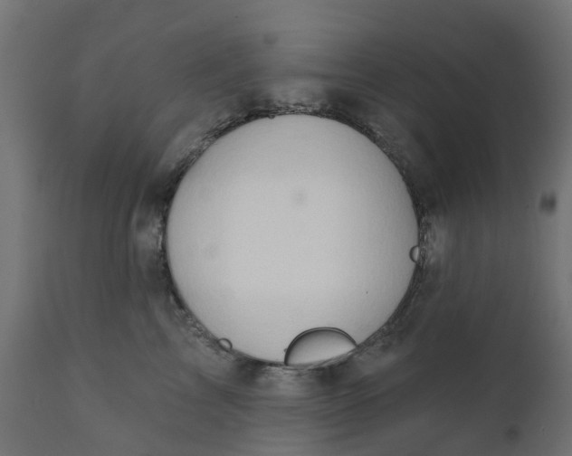 X0000111520713200907281339